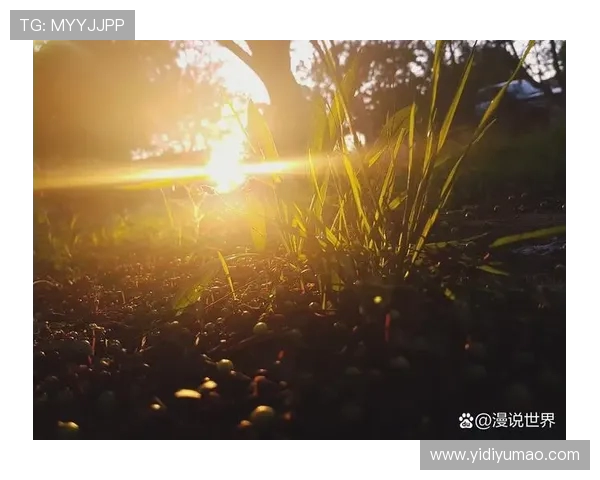 日常微光：触摸生活的温度(3)