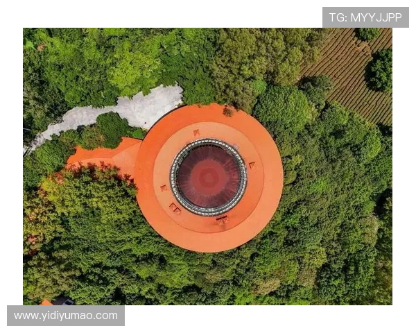 梅州五虎闪耀全运！广东五人制足球夺冠，足球之乡续写传奇(1)